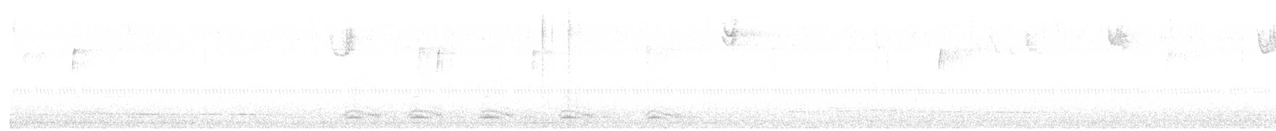 White-throated Sparrow - ML644775507