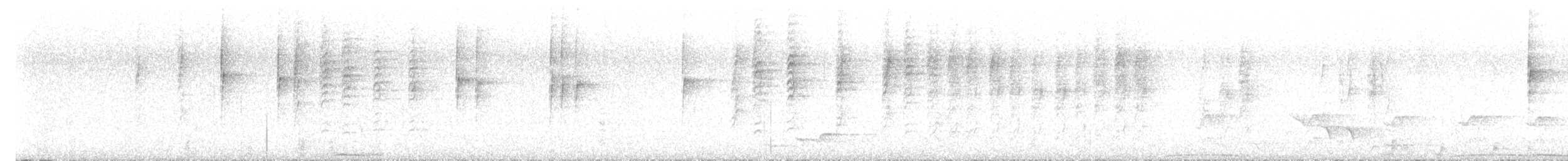 Beccarisericornis - ML644775811