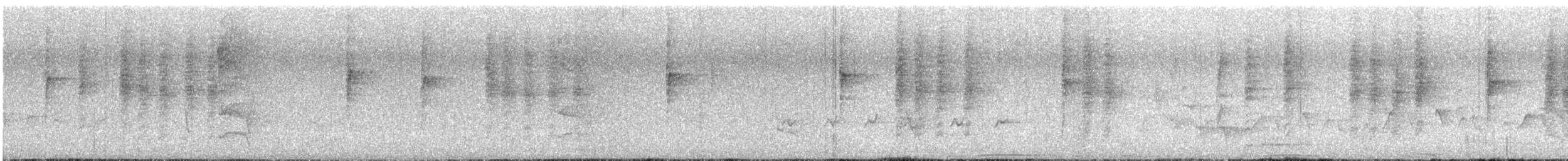 Beccarisericornis - ML644775812