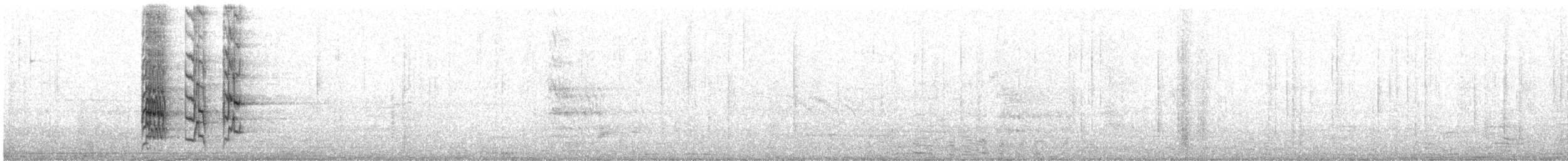 tirika bělokřídlý - ML644775949