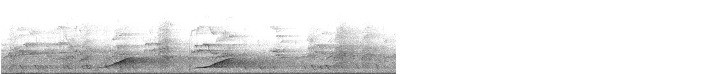 safirparadisfugl - ML644776206