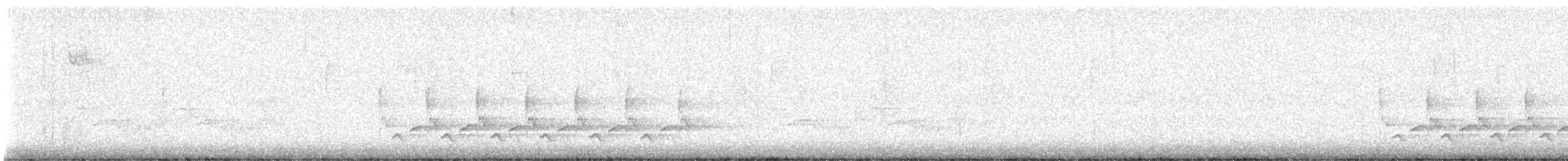 Carolina Wren - ML644776360