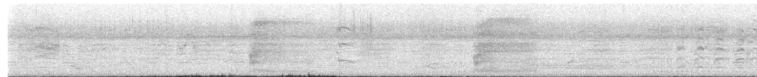 Great Bowerbird - ML644776456