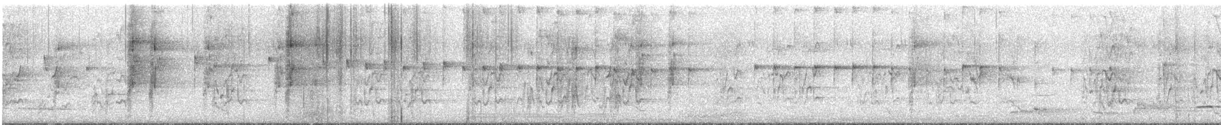 Red-winged Parrot - ML644776598