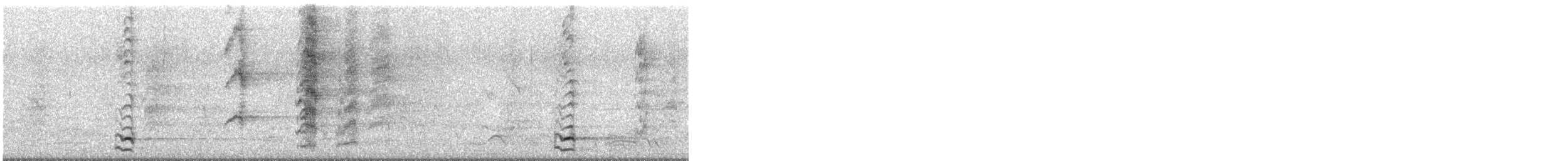 ヒメハゲミツスイ - ML644776635