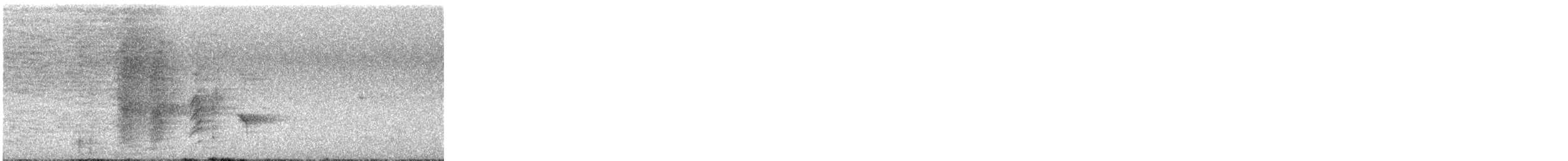 Spangled Drongo - ML644776684