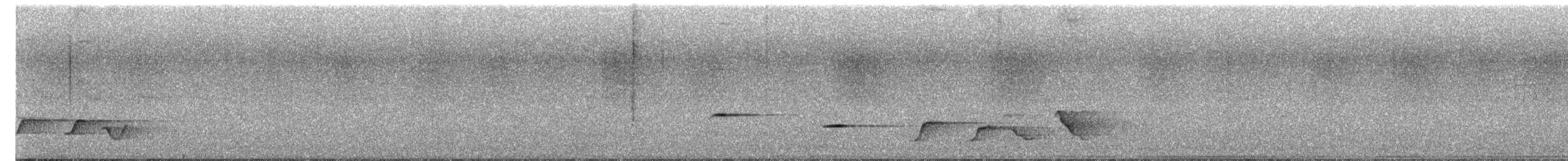 Silbador Simple - ML644776763