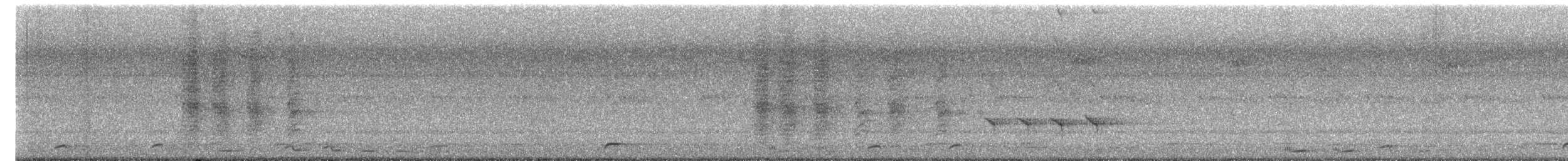 Spangled Drongo - ML644776839