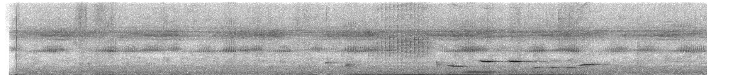 Antioquia Wren - ML644776905