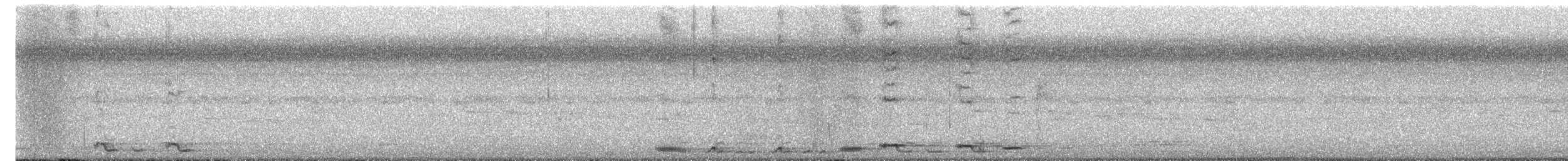 Black Butcherbird - ML644776907