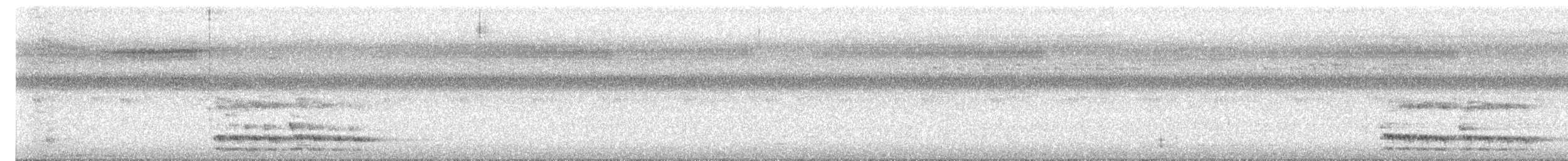 Black Butcherbird - ML644776957