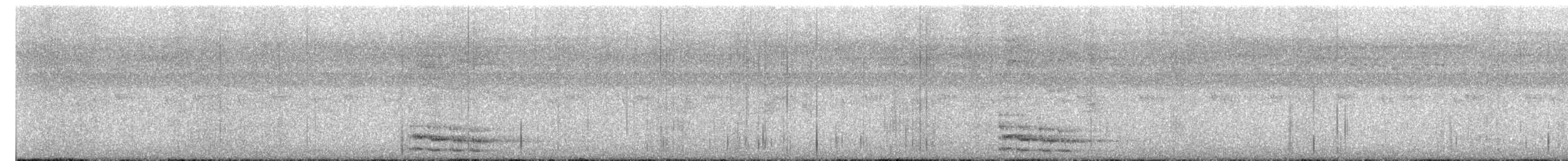 Black Butcherbird - ML644776958