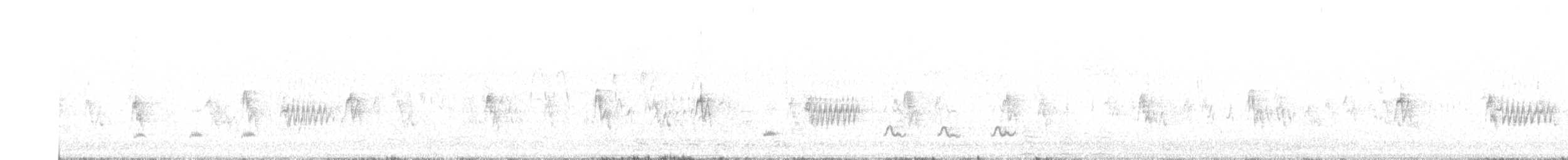 Kampo Taklitçisi - ML644777203