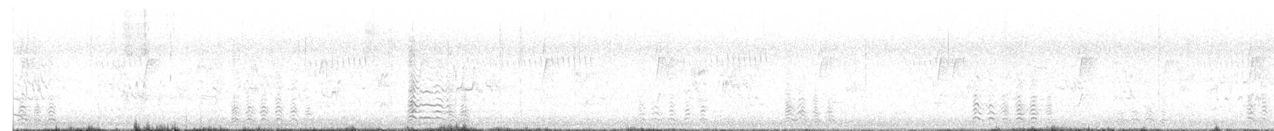 Kelp Gull - ML644777222