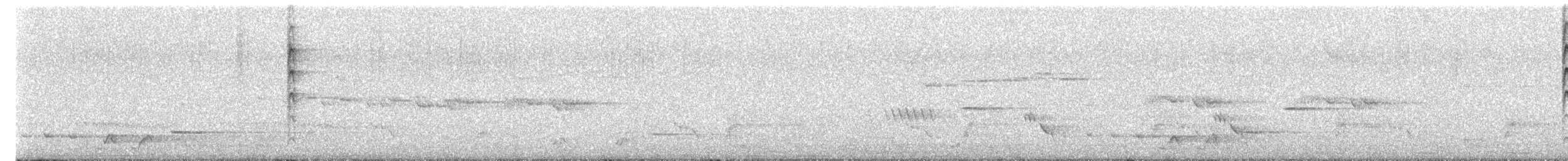 Gray Fantail - ML644777446