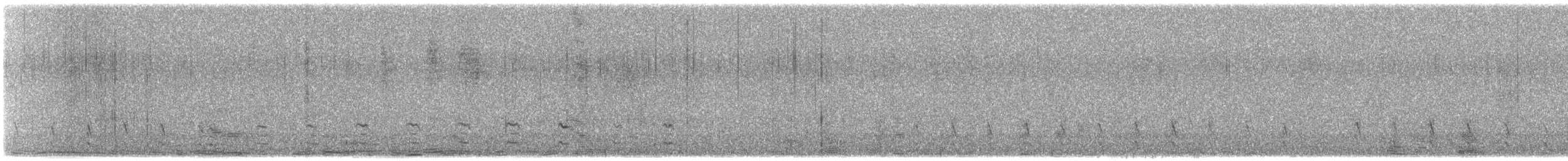 חרטומית אמריקנית - ML644777638