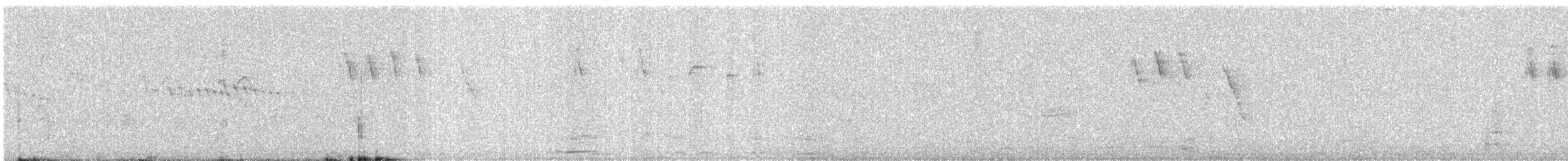 Little Swift - ML644778165