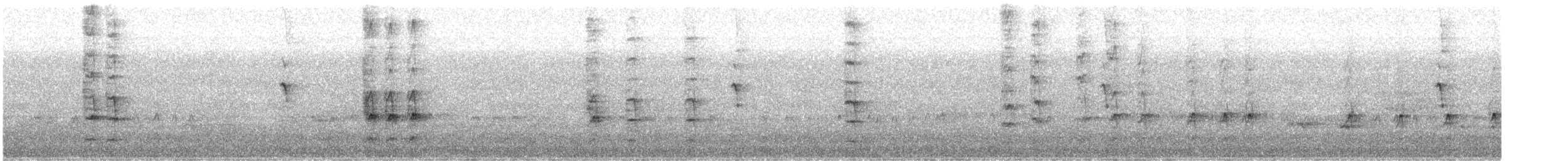 Медник блідий - ML644778181