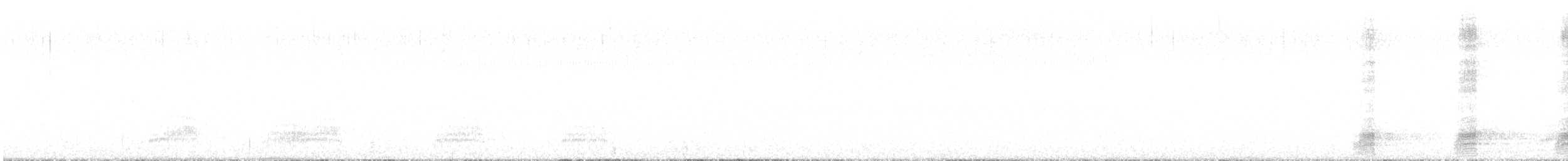 綠頭鴨 - ML644778440