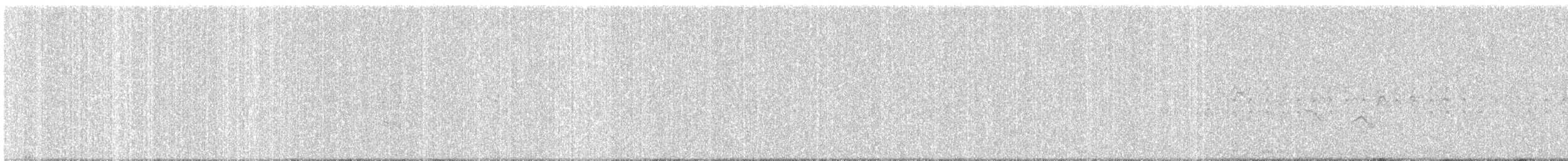 Ashy Prinia - ML644778536