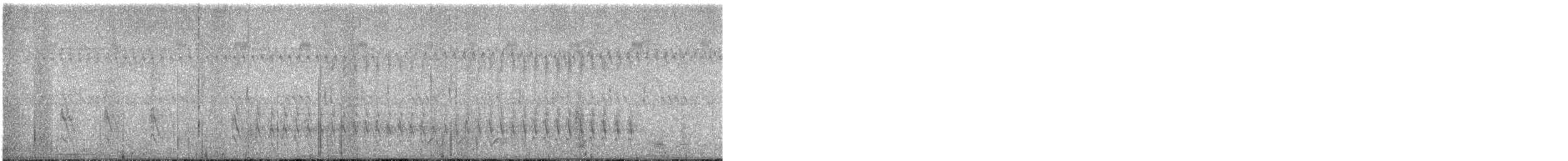 Carpintero de Carolina - ML644779168