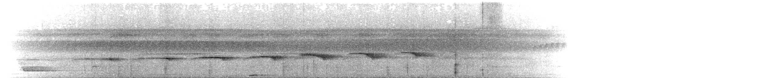 Grisin ardoisé - ML644779624