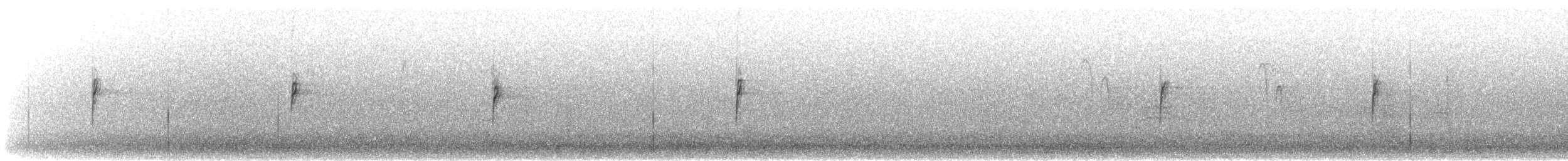 strnadec bělopásý - ML644779835