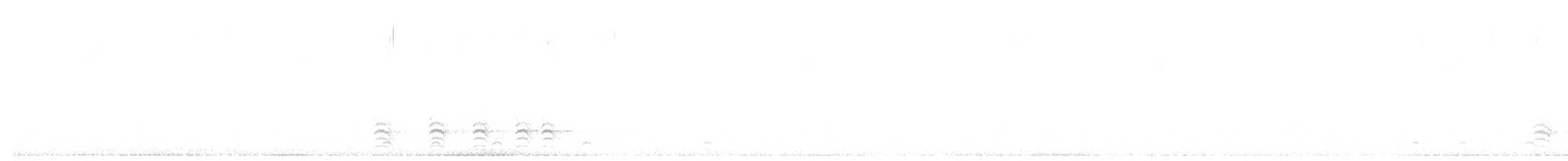 White-breasted Nuthatch - ML644779952