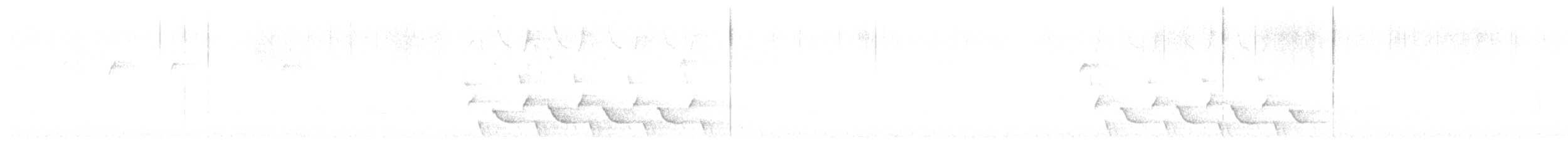 Carolina Wren - ML644780111