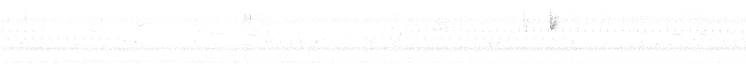 Chingolo Cantor - ML644780605