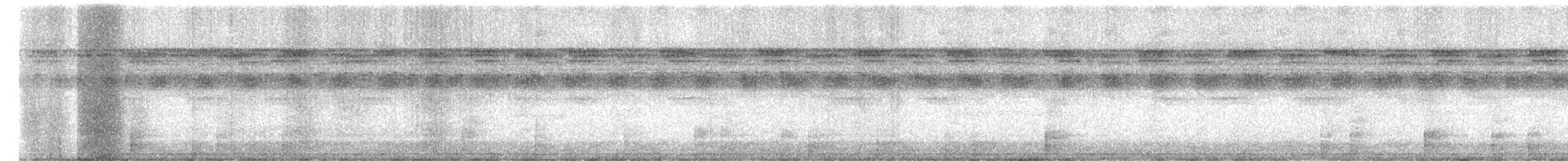 Russet-winged Schiffornis - ML644780849