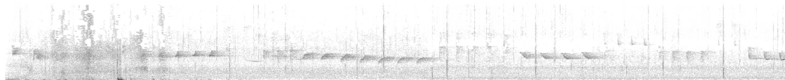 South Island Robin - ML644780883