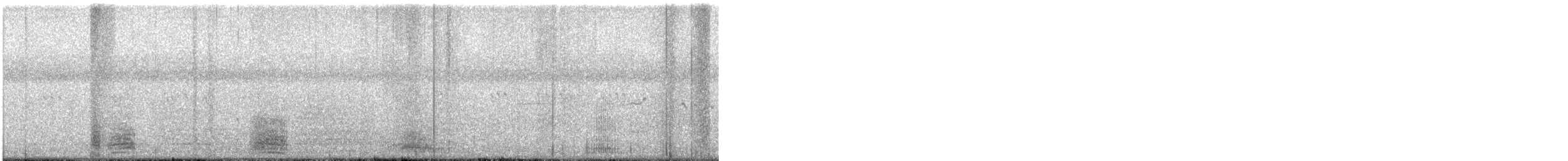 Koartza hauskara amerikarra - ML644781304