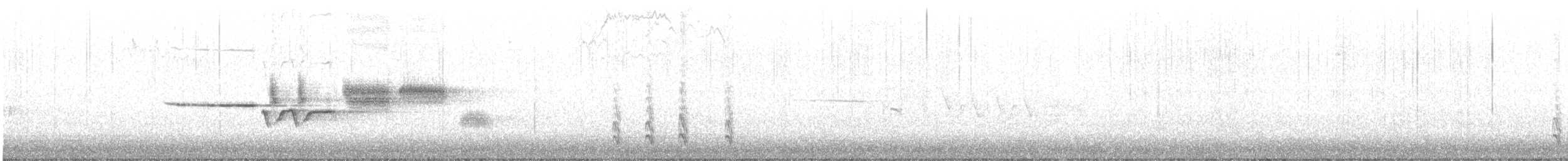 hvitkronespurv (gambelii) - ML644781353