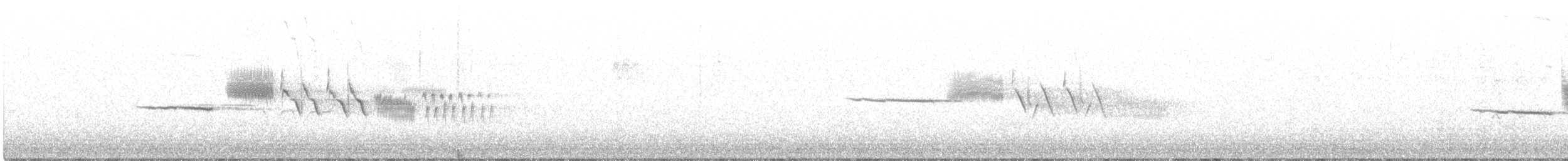 hvitkronespurv (pugetensis) - ML644781693