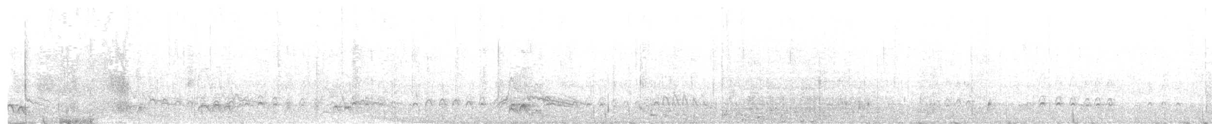 Yeni Zelanda Patkası - ML644781760