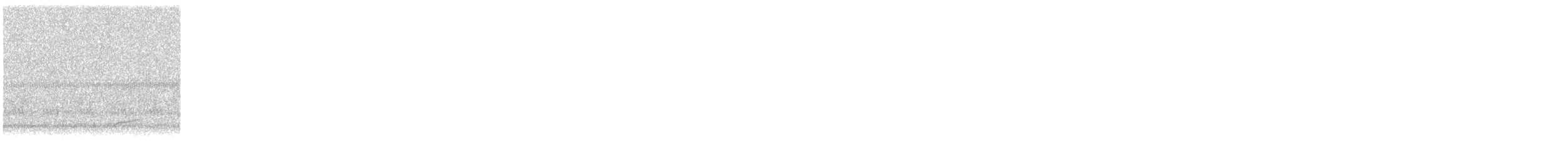 Swainson's Thrush - ML644781784