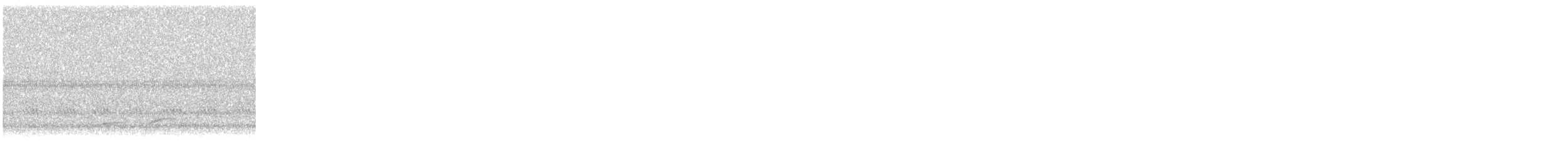 Zwergmusendrossel - ML644781801