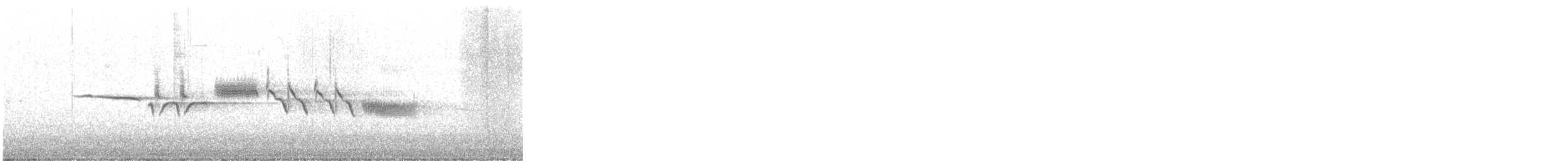 hvitkronespurv (gambelii) - ML644781960