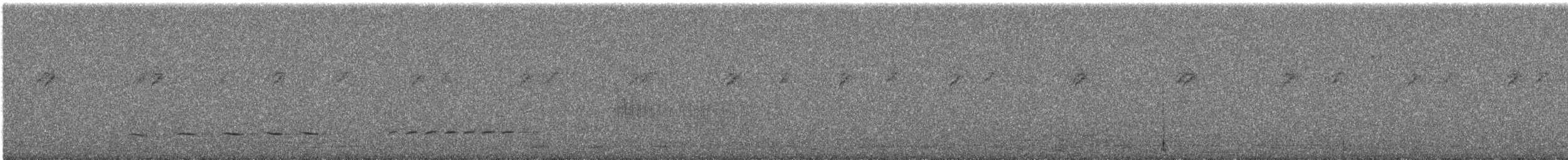 臺灣朱雀 - ML644781990