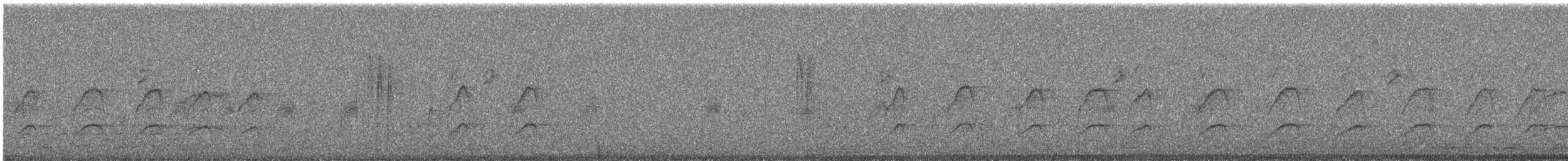 Тайваньская чечевица - ML644782066