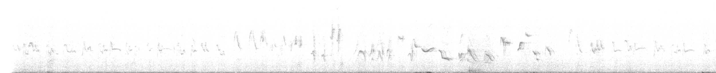 Серебряная белоглазка - ML644782208