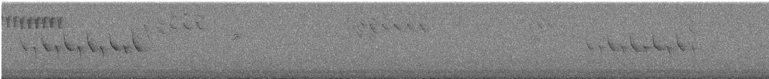 Formosagimpel - ML644782367