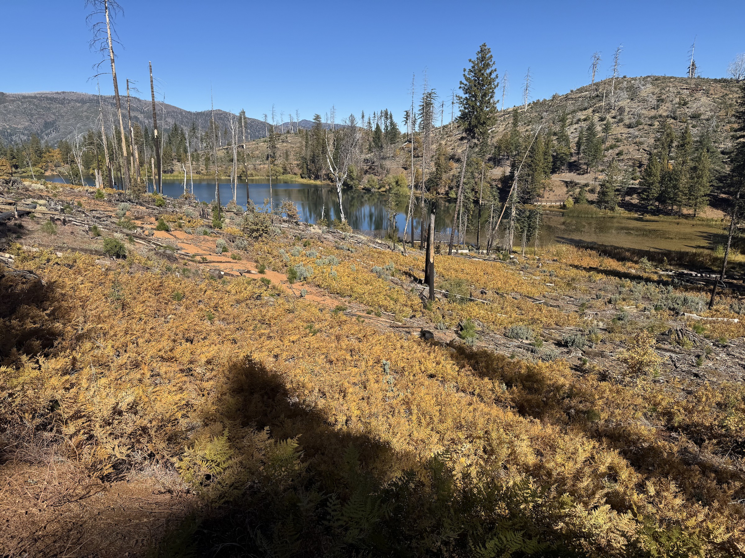 Upper Letts Lake - Colusa, California, US - Birding Hotspots