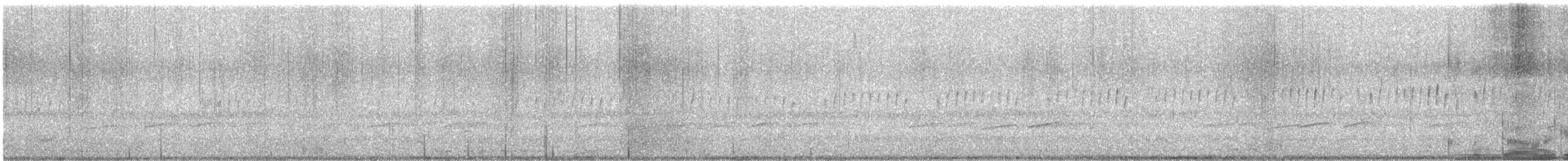 amerikarugde - ML644782528