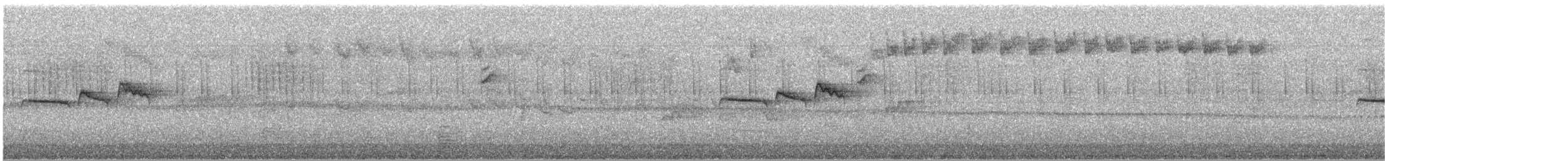 Tayvan Çütresi - ML644782561