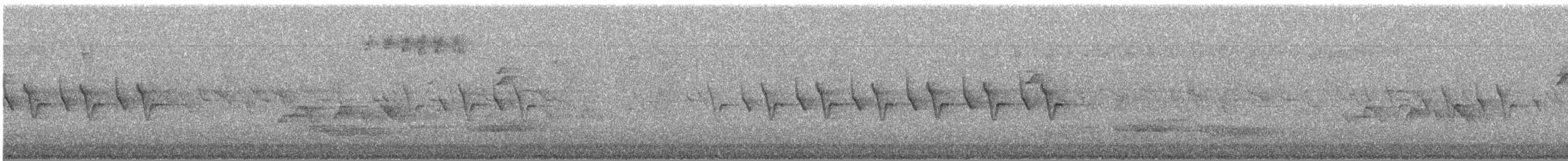 Tayvan Çütresi - ML644782572