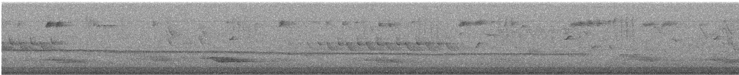 Tayvan Çütresi - ML644782598