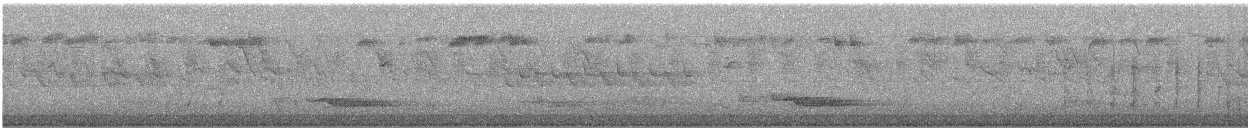 Tayvan Çütresi - ML644782605