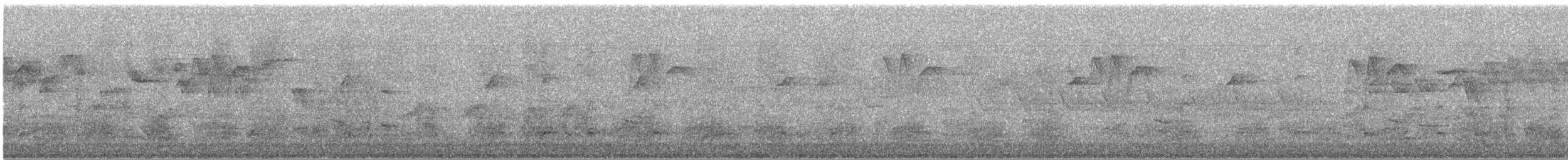 Tayvan Çütresi - ML644782636